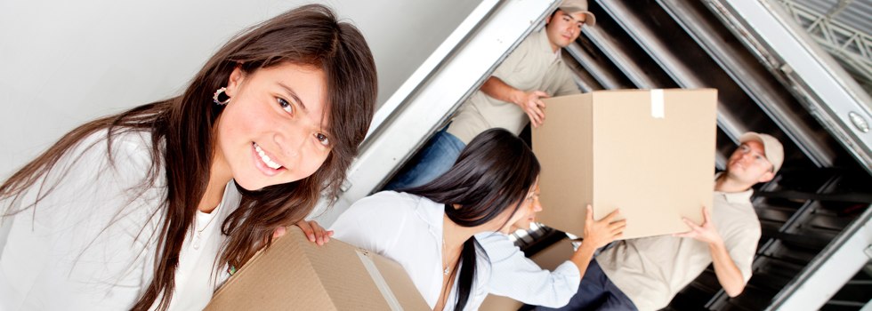 Professional Removalists Byrnestown